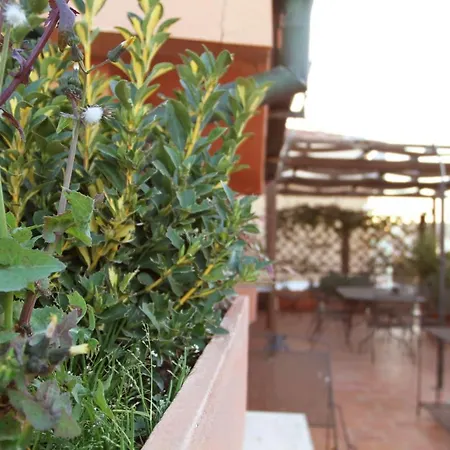 Casa Chiara 아파트 *